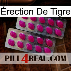 Érection De Tigre 10